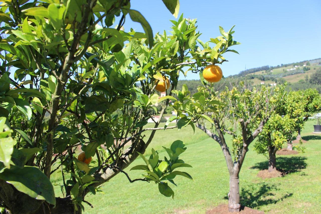 Posada El Campo Secadura Екстер'єр фото