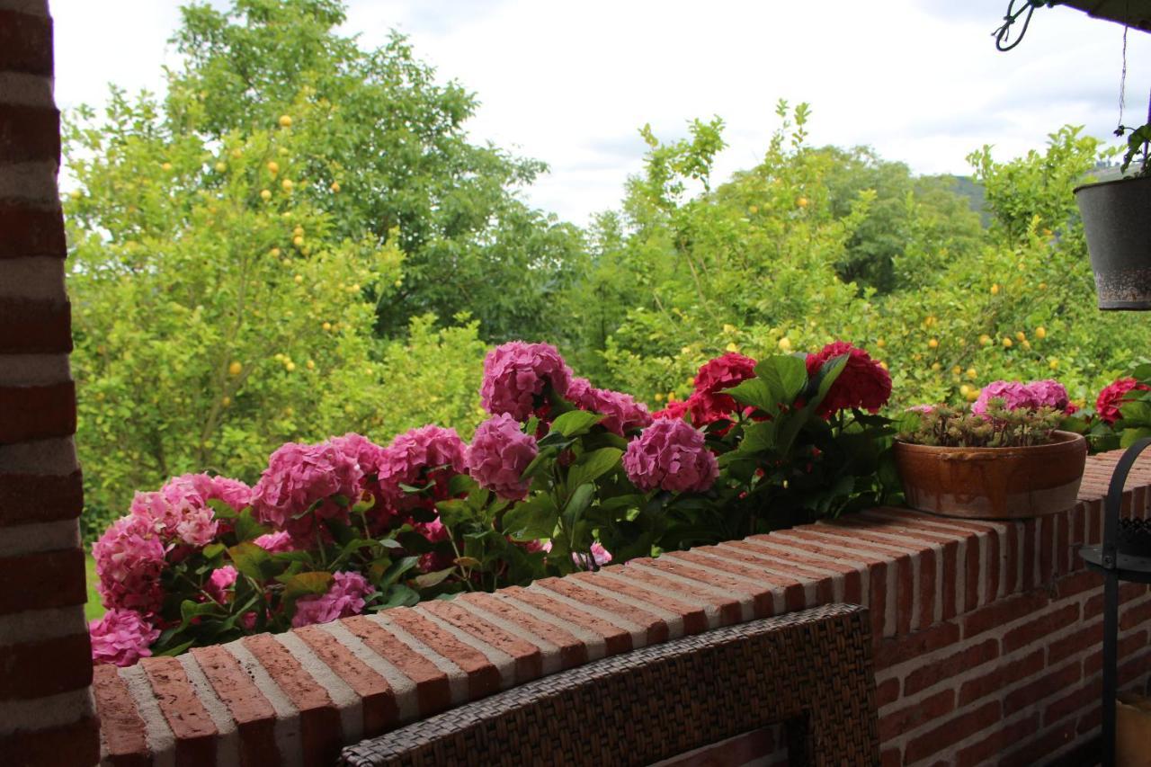 Posada El Campo Secadura Екстер'єр фото